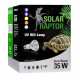 Solar raptor auto ballaste 80w