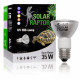 Solar raptor auto ballaste 80w