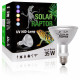 Solar raptor auto ballaste 80w