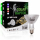 Solar raptor auto ballaste 80w