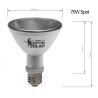 Solar raptor auto ballaste 80w