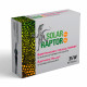 Solar raptor auto ballaste 80w