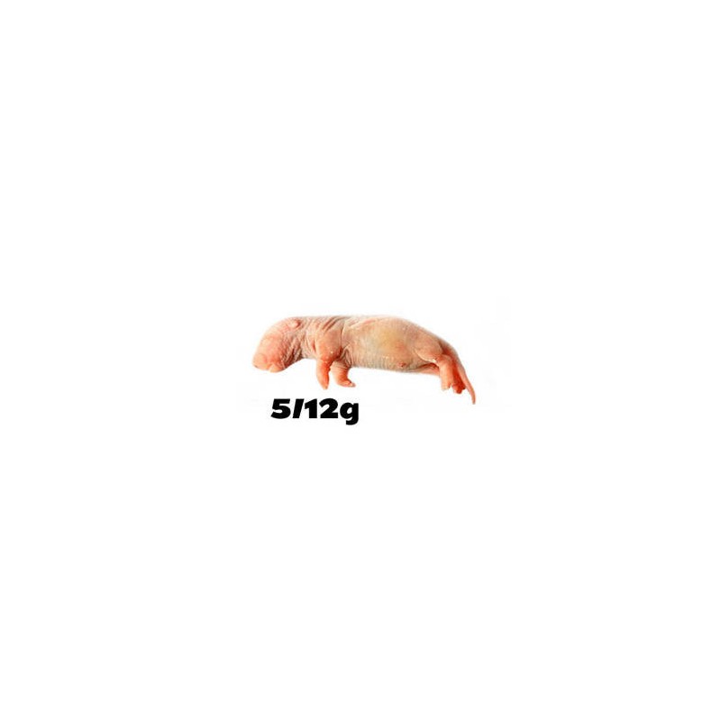 10 Rat rosé