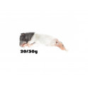 Rats xxs 20-30 g