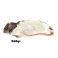 3 Rats XXL 350-450g