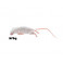 Souris Blanchons 5-9G