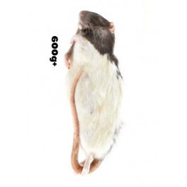 5 Rats XXXL +400G