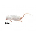 10 Souris 30- 50g