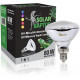 Solar raptor auto ballaste 80w