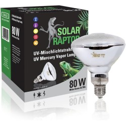 Solar raptor auto ballaste 80w
