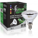 Solar raptor auto ballaste 80w