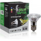 Spot halogen 35w