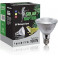 Spot halogen 100w
