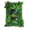 REPTO PLANT BACK WALL MAT1 40-60 CM 3