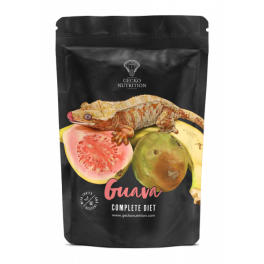 Gecko nutrition mangue goyave