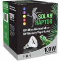 Solar raptor auto ballast 100w 3en1