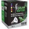 Solar raptor auto ballaste 100w
