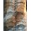 gerbille 30-60g