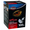 Lampe spot à chaleur 100W