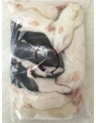 Rat XXS (15-30g)