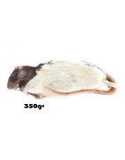 Rat XXL (350g-450g)