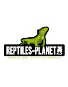 Eclairage reptiles planet