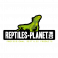 Eclairage reptiles planet