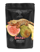 Gecko nutrition goyave