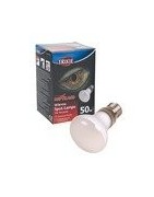 Lampe spot à chaleur Lampe spot-réflecteur large spectre