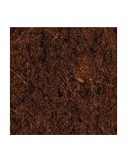 Fibres de noix de coco Substrat pour terrarium tropical