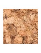 Copeaux de noix de coco Substrat pour terrarium tropical