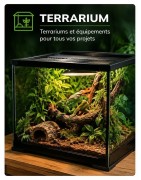TERRARIUM