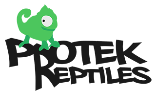 Protekreptiles