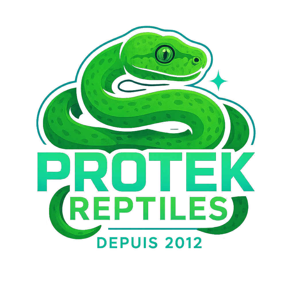 Protekreptiles